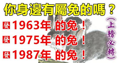 1975年屬什麼生肖|1975年兔一生的運氣 出生五行命理分析